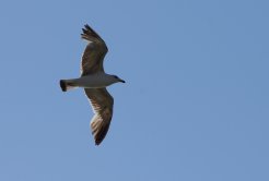 Naturfotografie