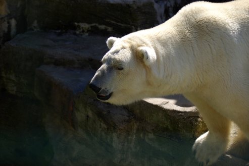 Zoo und Wildpark